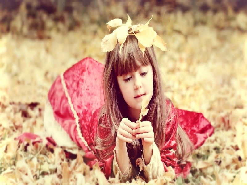 试管碰撞助眠养囊的费用多少试管架输送